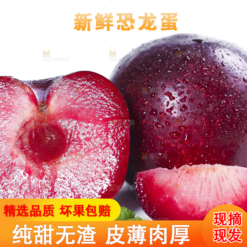 白底上摆放着恐龙蛋李