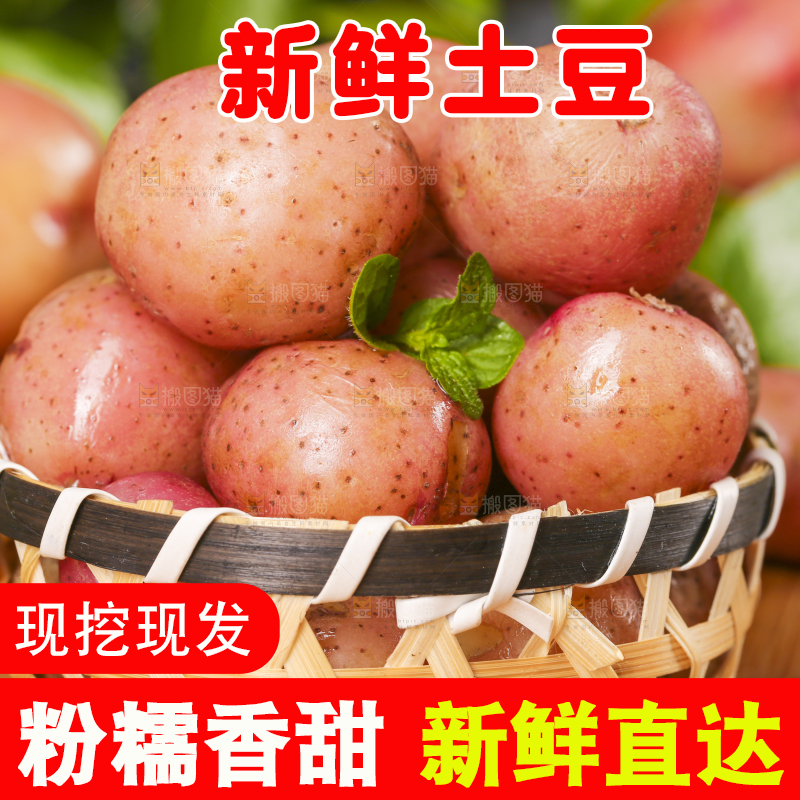 篮子里装着红皮马铃薯