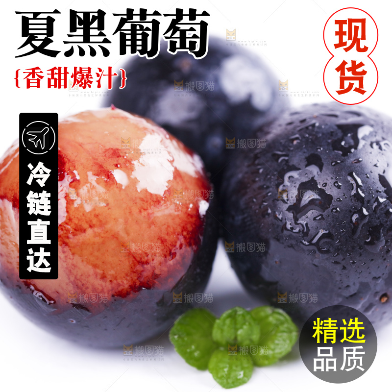 白底上摆放着夏黑葡萄