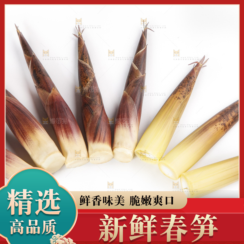 白底上摆放着春笋