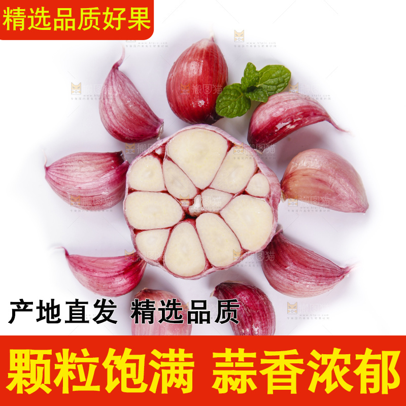 白底上摆放着云南紫皮多瓣蒜