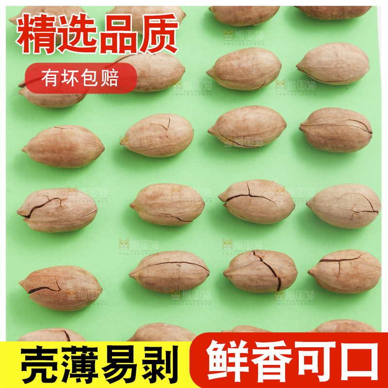 绿色底上摆放着山核桃