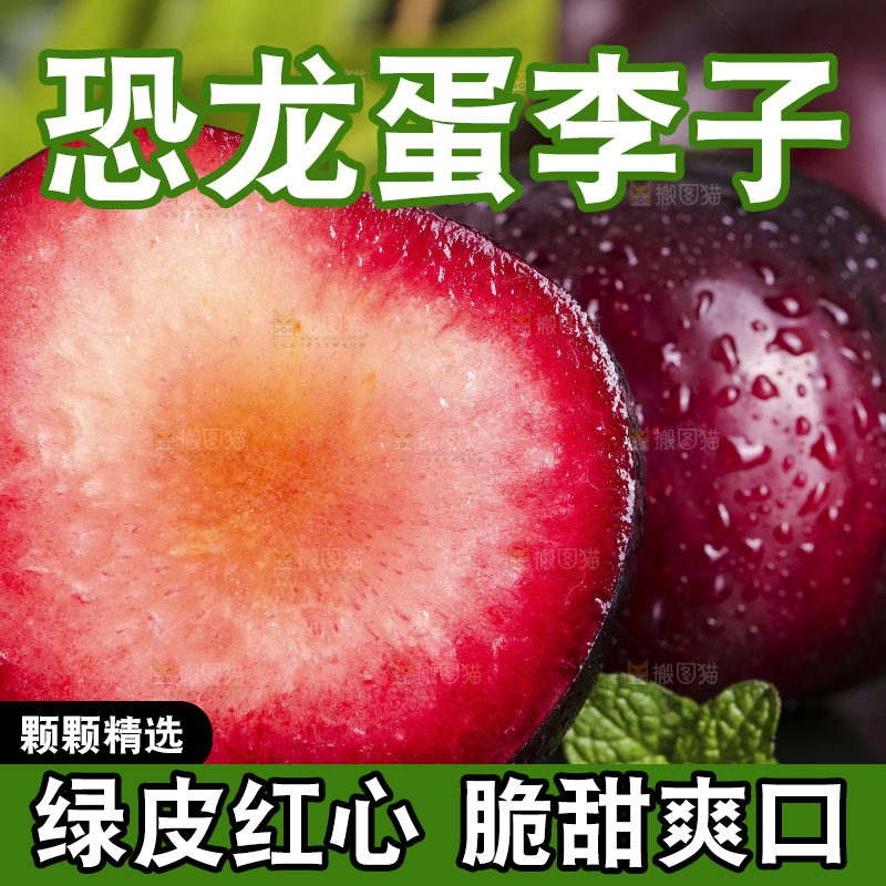 黑底上摆放着恐龙蛋李