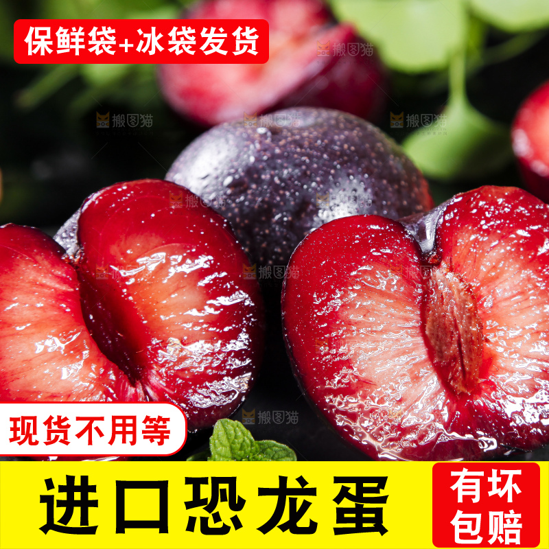 深底上摆放着恐龙蛋李