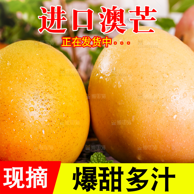 深底上摆放着澳芒