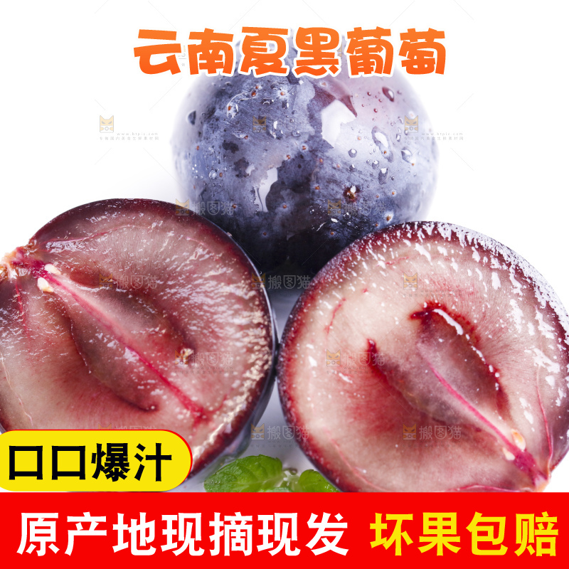 白底上放着夏黑加仑葡萄