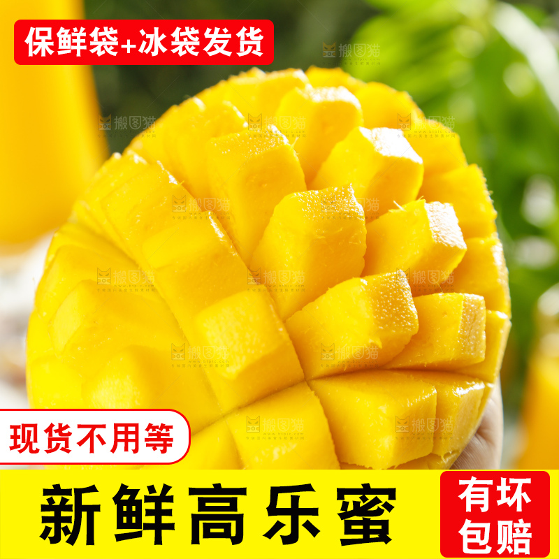 手里拿着水仙芒