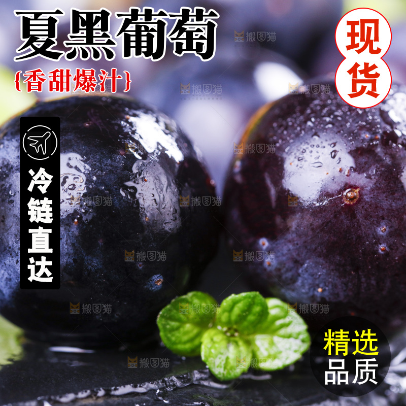 黑底上摆放着黑加仑葡萄