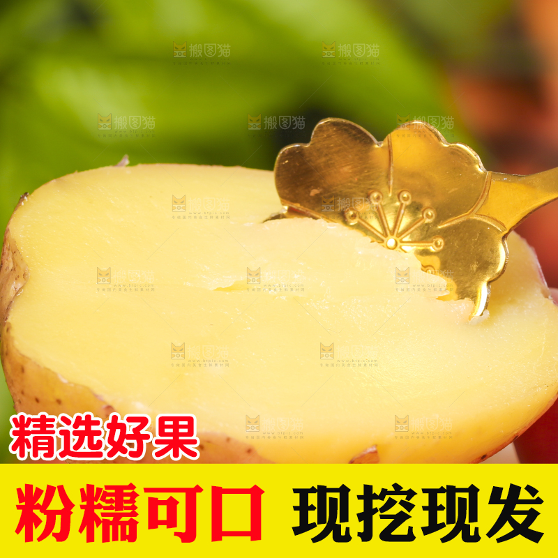 手里拿着土豆