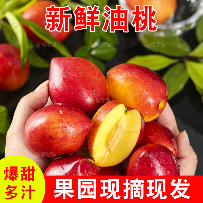 手里捧着大连油桃