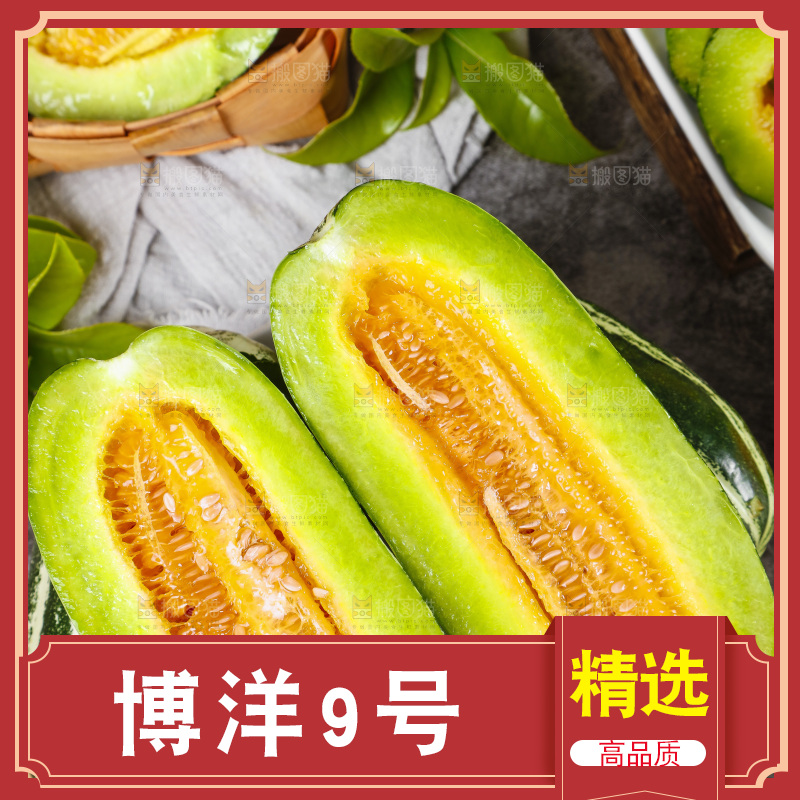 木底上摆放着美洋甜瓜