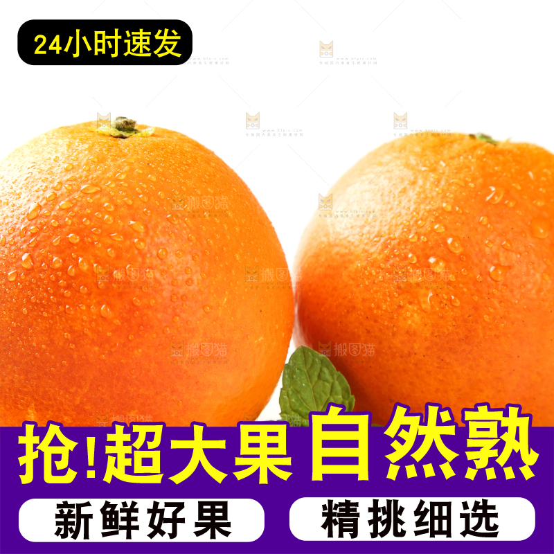 白底上放着玫瑰血橙