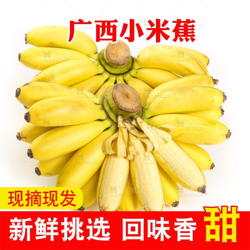 白底上摆放着广西小米蕉