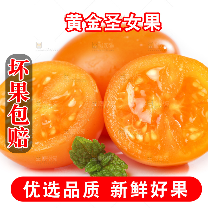 白底上摆放着山东黄金圣女果