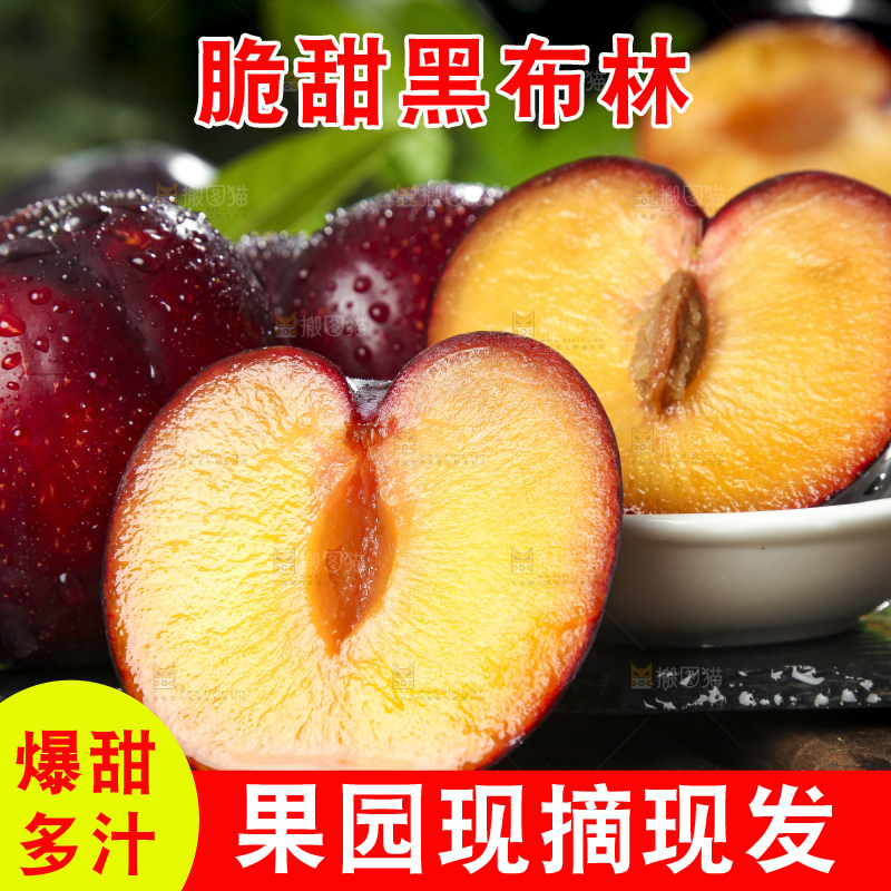 木底上放着进口黑布林