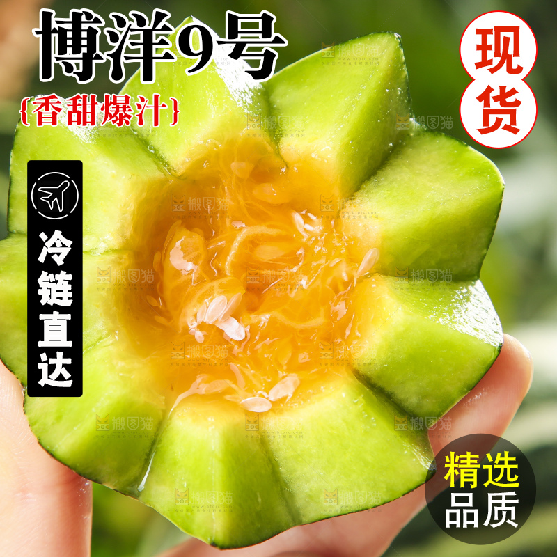 手里拿着羊角蜜甜瓜