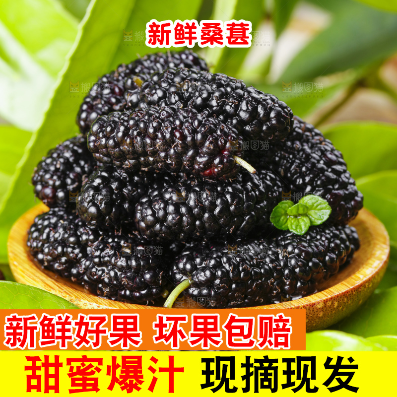 碟子里装着天然桑葚