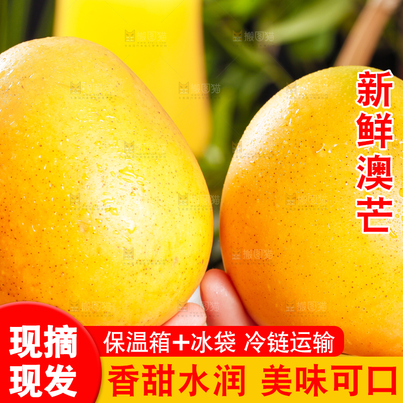 手里拿着澳芒