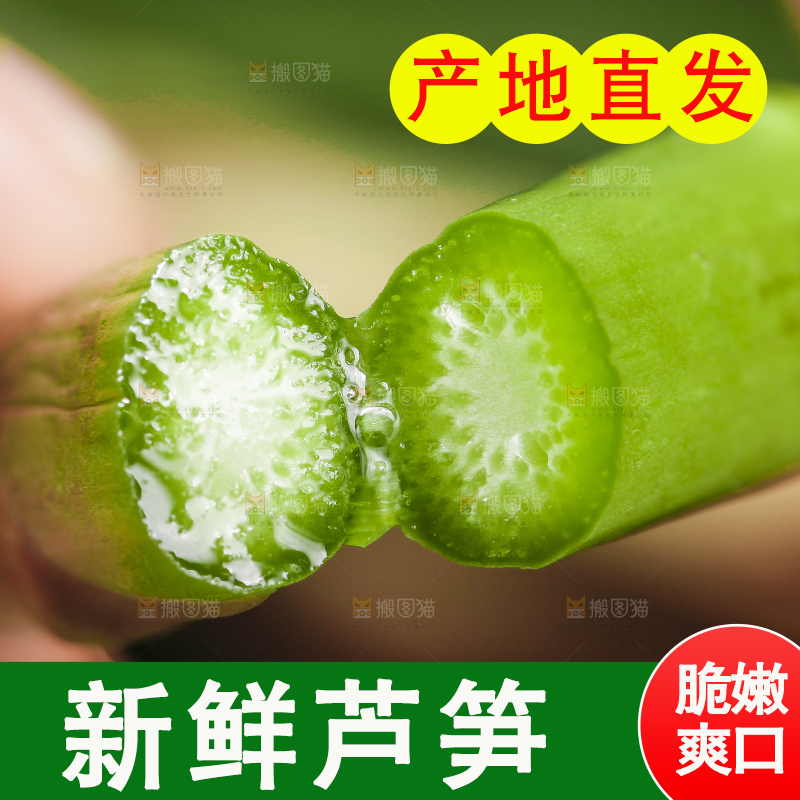 手里拿着嫩芦笋