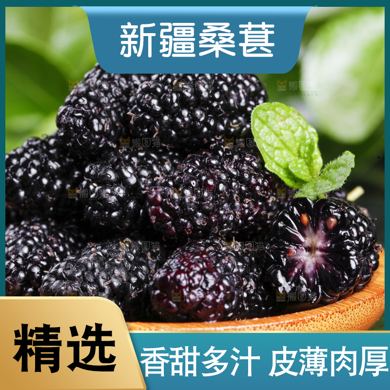 碟子里装着新鲜桑葚
