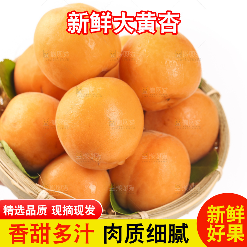 篮子里装着烟台杏子