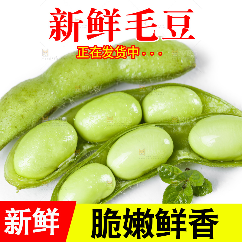 白底上摆放着毛豆角