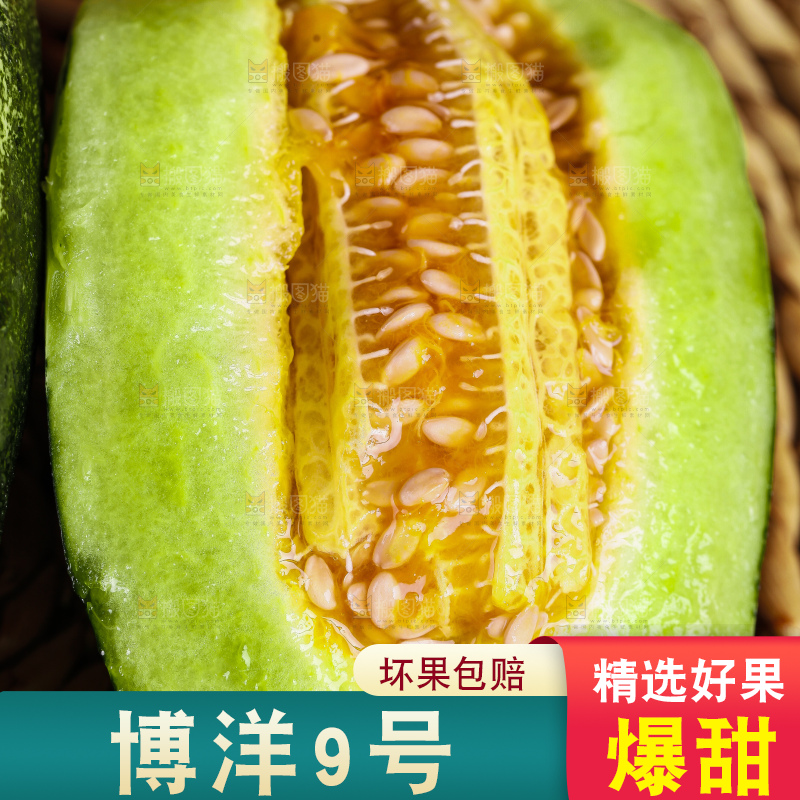 编织垫上放着博洋9号甜瓜