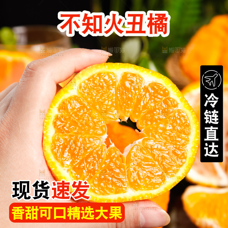 手里拿着柑橘