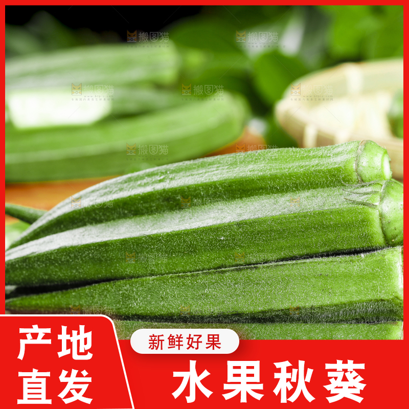 黑底上摆放着山东新鲜秋葵