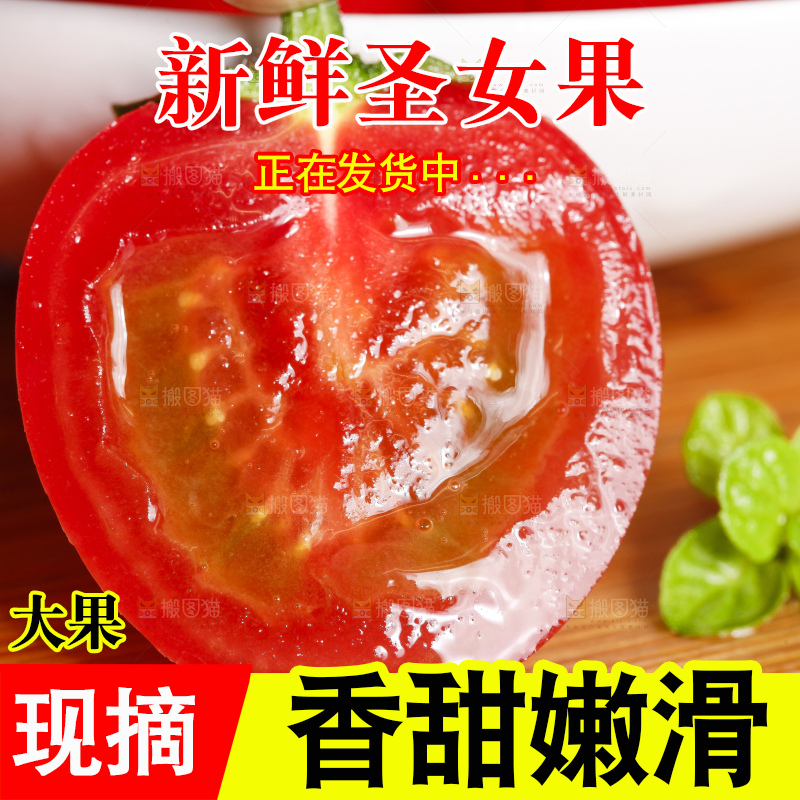 木底上摆放着 新疆小番茄