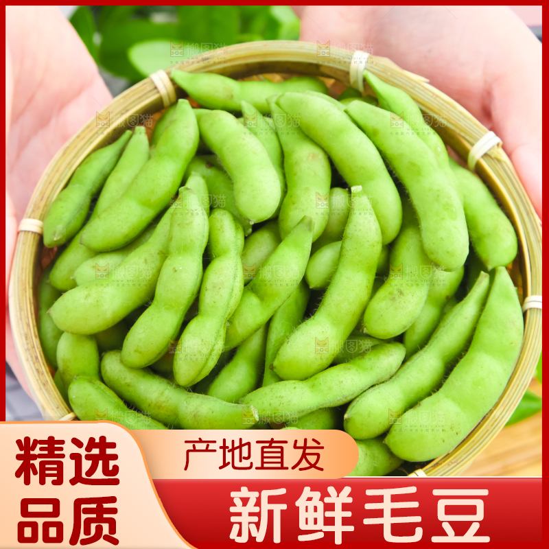 篮子里装着毛豆