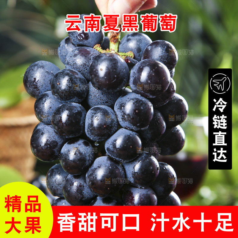 手里拿着紫葡萄