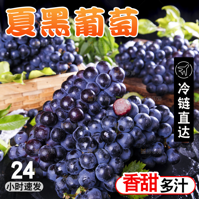 黑底上摆放着云南夏黑葡萄