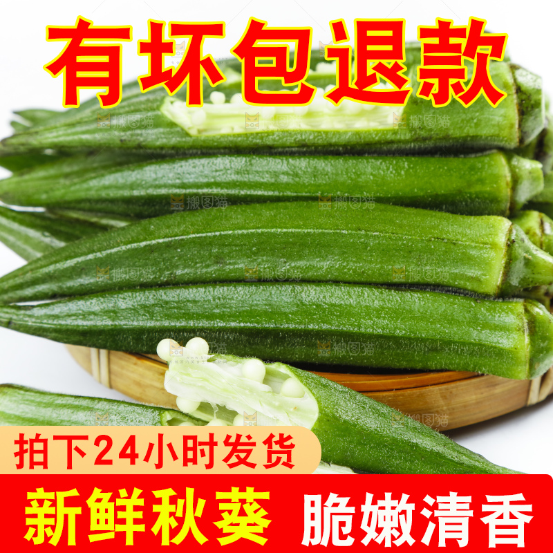 篮子里装着山东新鲜秋葵