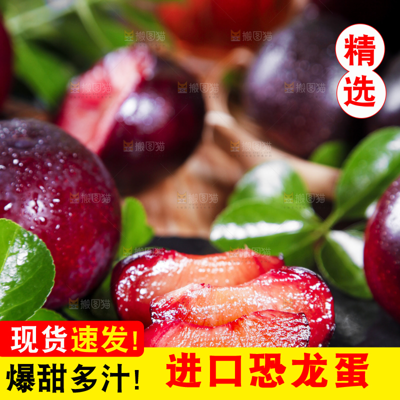 深底上摆放着恐龙蛋李