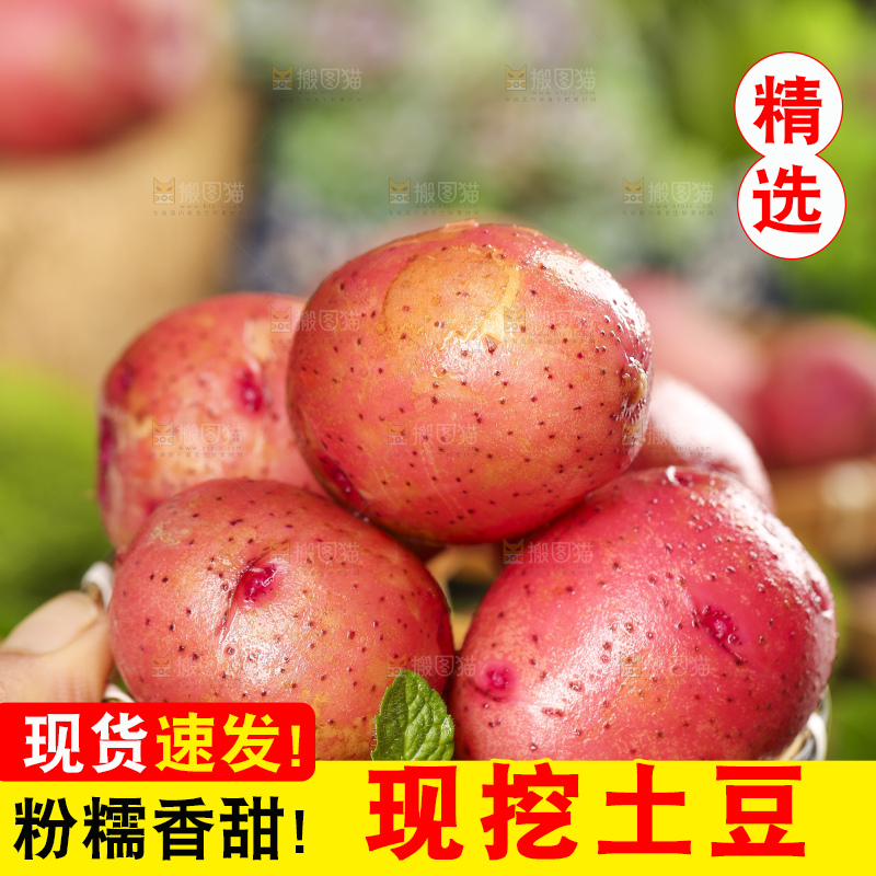 篮子里装着云南红皮土豆