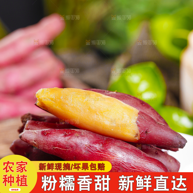 盘子里装着金手指红薯