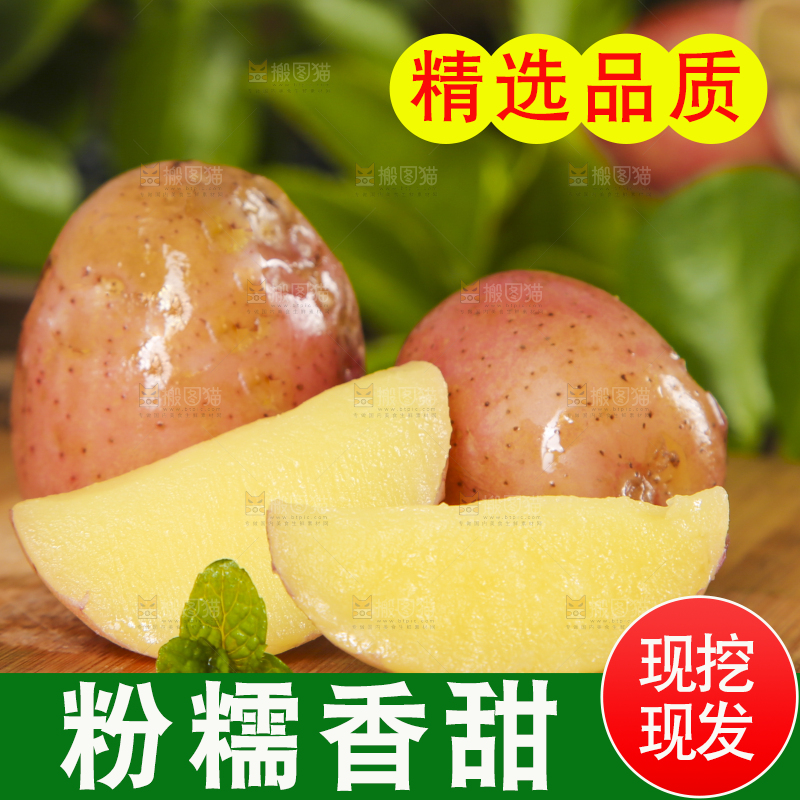 木底上放着红皮洋芋
