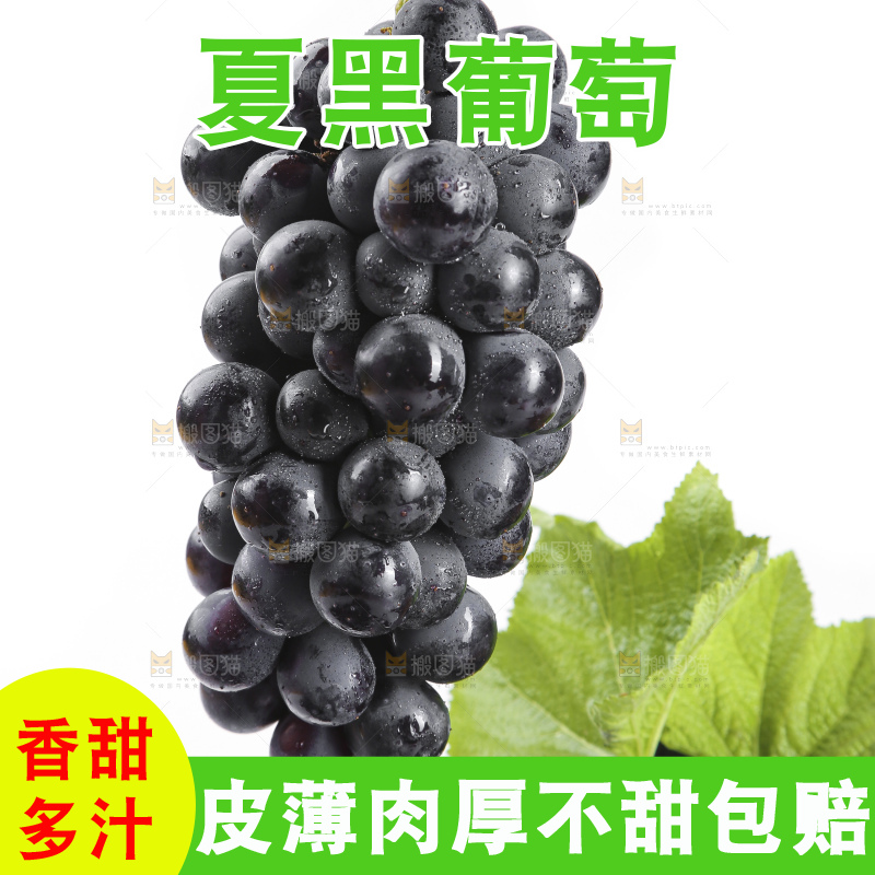 手里拿着夏黑葡萄