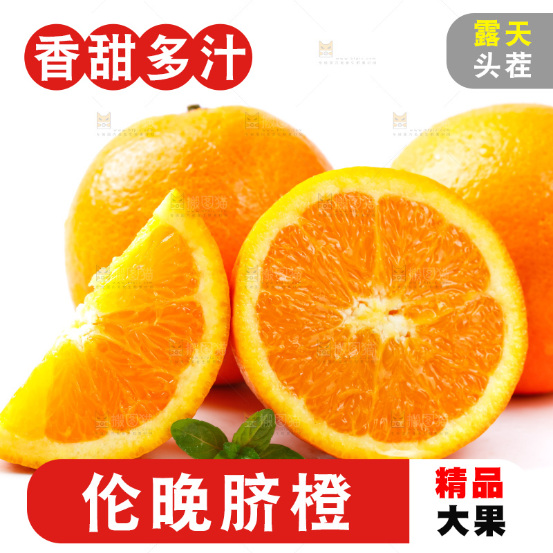 白底上放着新鲜伦晚脐橙
