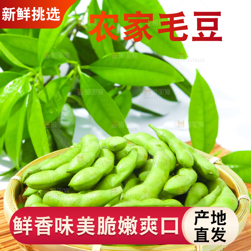 篮子里装着毛豆