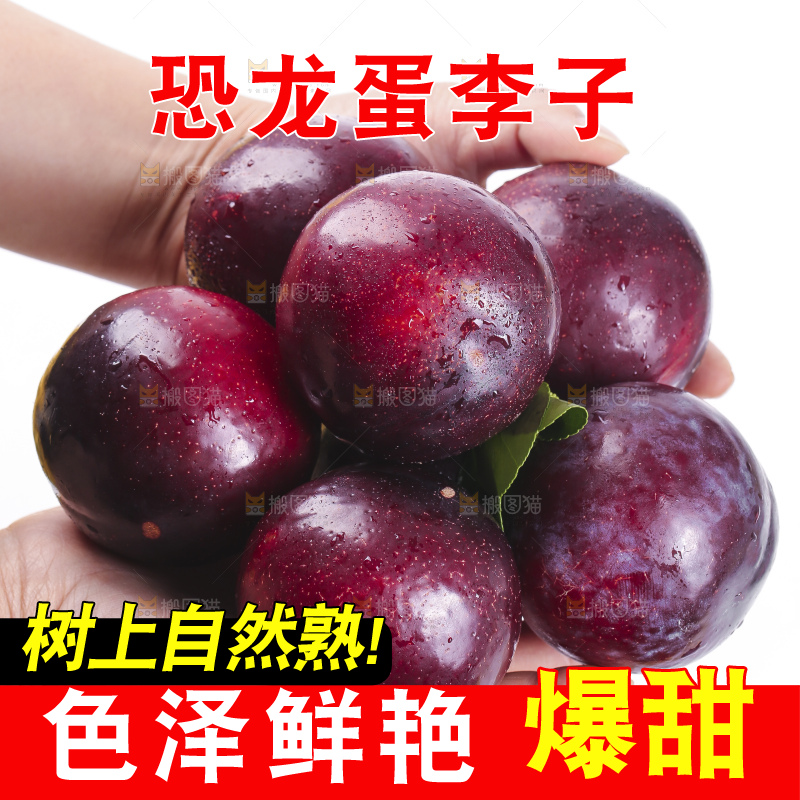 手里捧着恐龙蛋李