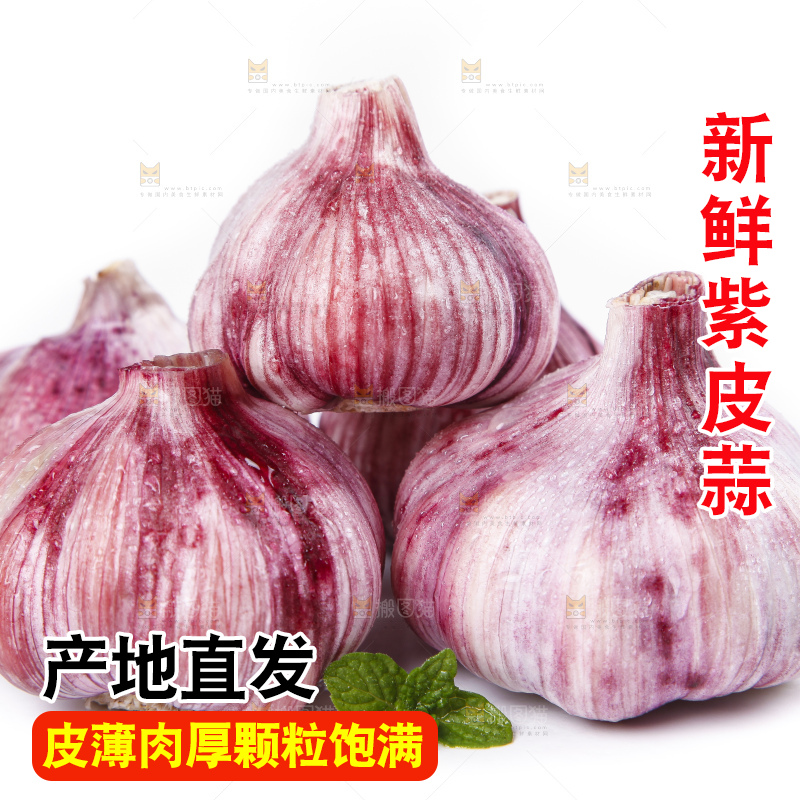 白底上放着紫皮蒜