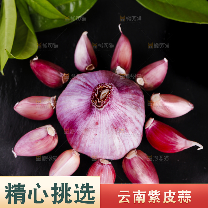 黑底上放着紫皮鲜蒜