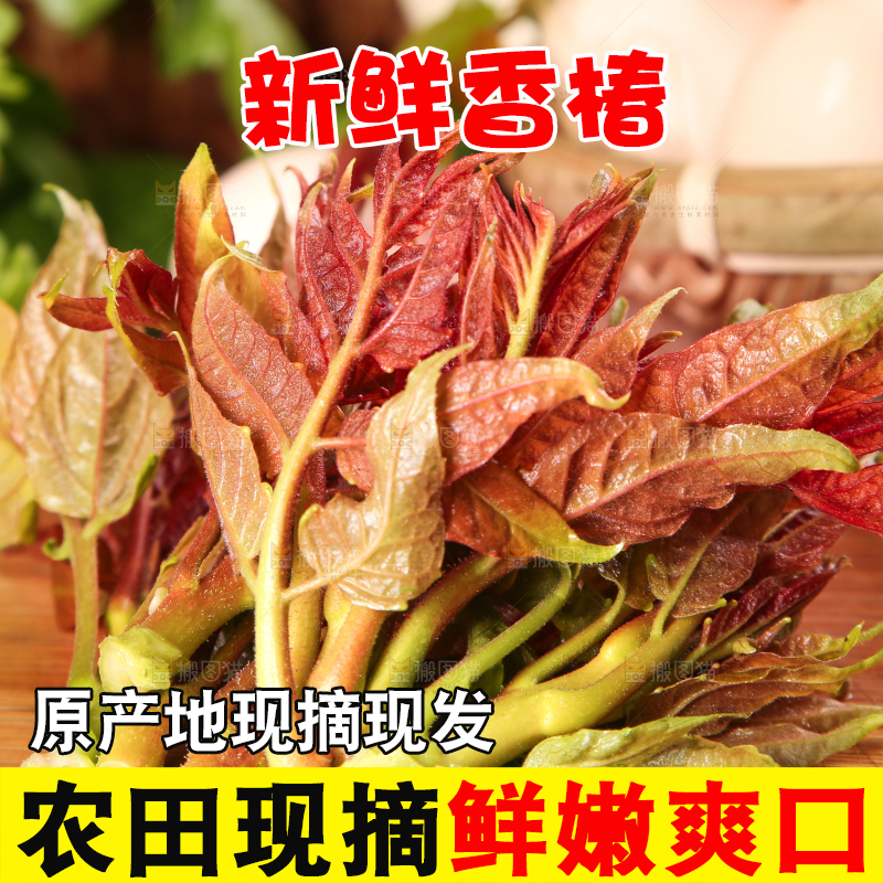 木板上放着香椿芽