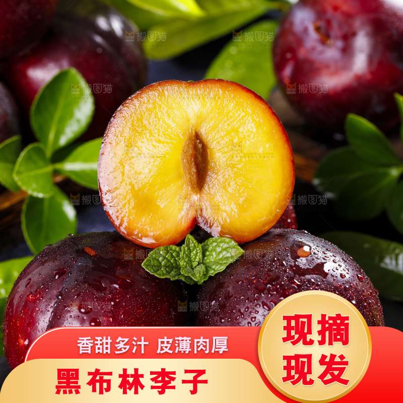 黑底上摆放着黑布李