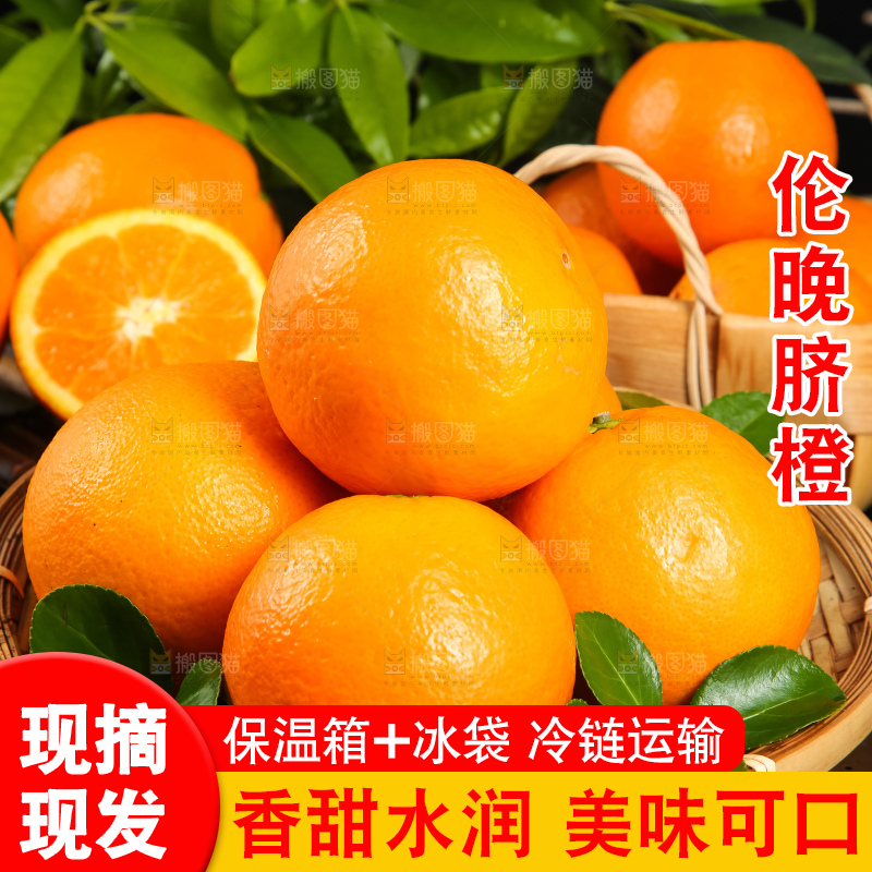篮子里秭归脐橙