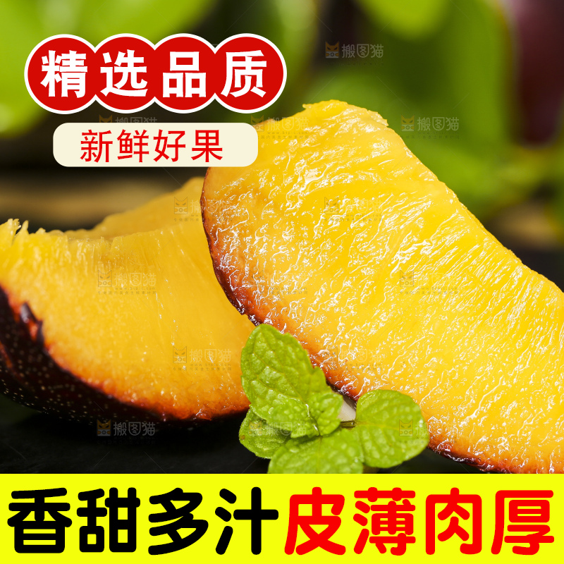 深底上放着黑布朗