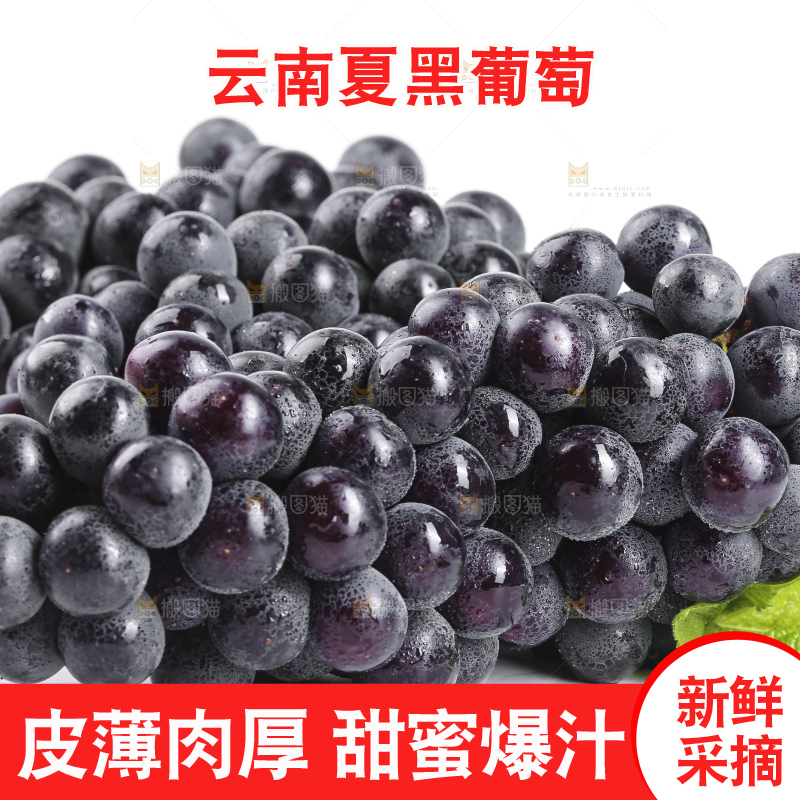 白底上摆放着黑加仑葡萄