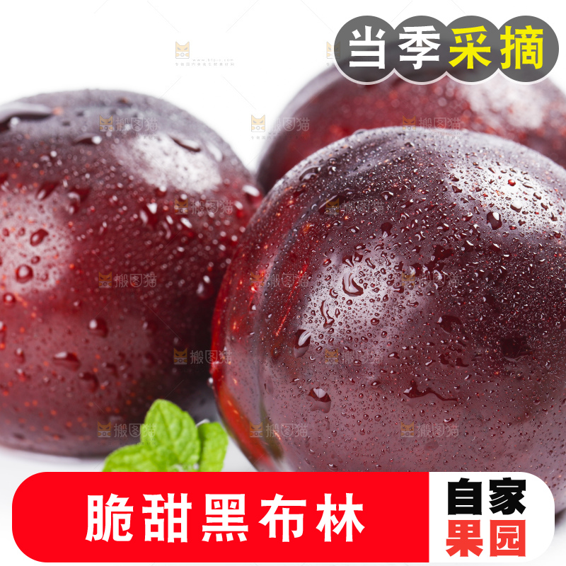 白底上放着黑布林李子